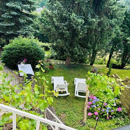 Luftkurort, Perle Des Neckartals Apartment Хиршхорн Екстериор снимка