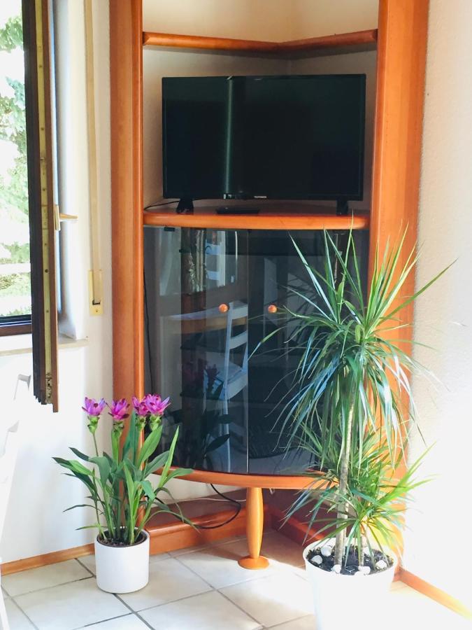 Luftkurort, Perle Des Neckartals Apartment Хиршхорн Екстериор снимка