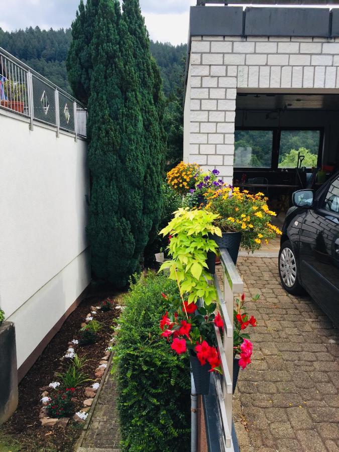 Luftkurort, Perle Des Neckartals Apartment Хиршхорн Екстериор снимка