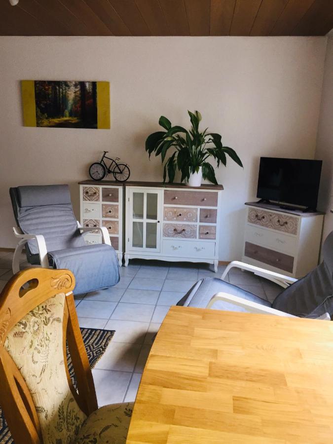Luftkurort, Perle Des Neckartals Apartment Хиршхорн Екстериор снимка