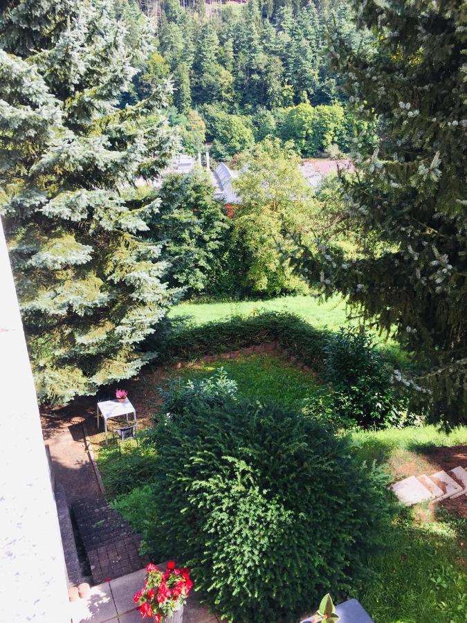Luftkurort, Perle Des Neckartals Apartment Хиршхорн Екстериор снимка