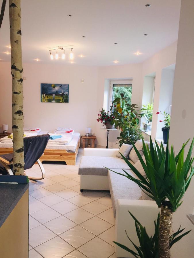 Luftkurort, Perle Des Neckartals Apartment Хиршхорн Екстериор снимка