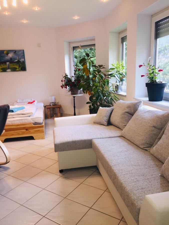 Luftkurort, Perle Des Neckartals Apartment Хиршхорн Екстериор снимка