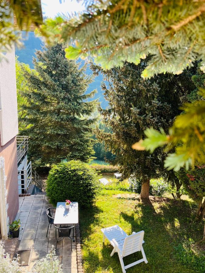 Luftkurort, Perle Des Neckartals Apartment Хиршхорн Екстериор снимка